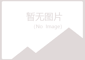 大城县梦柏建设有限公司